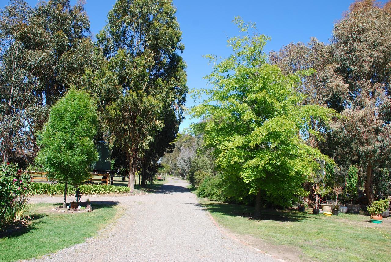 Bluegum Ridge Cottages Merrijig Exterior foto