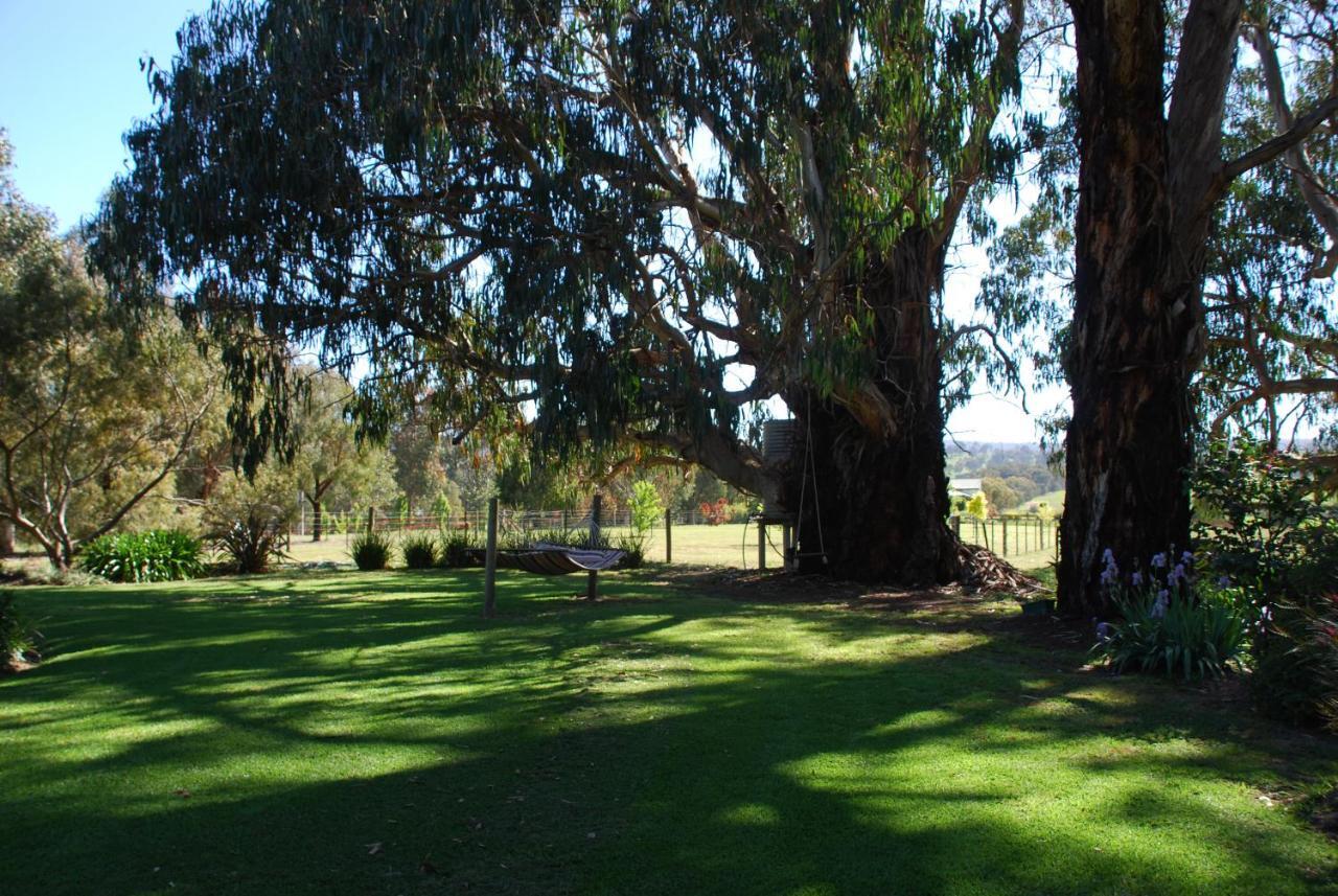 Bluegum Ridge Cottages Merrijig Habitación foto