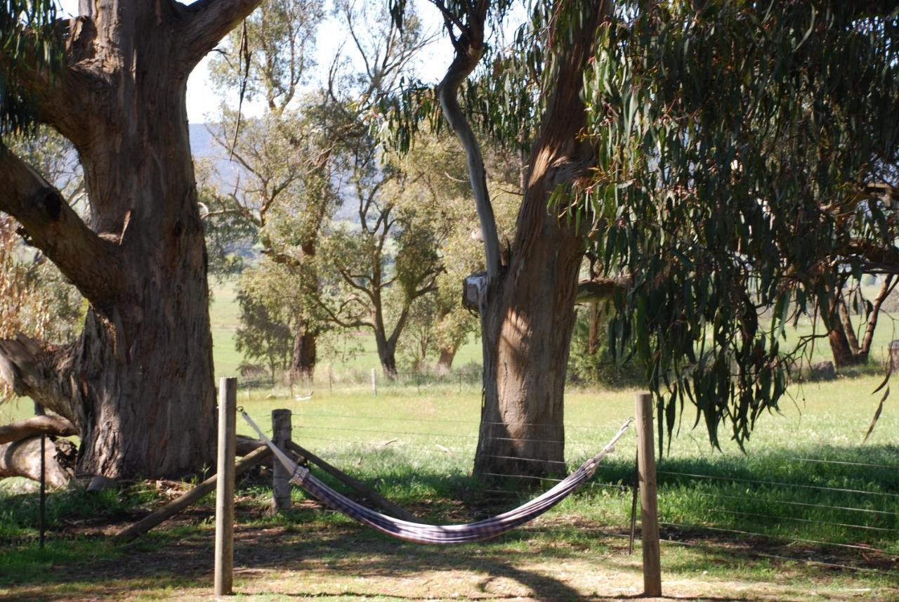 Bluegum Ridge Cottages Merrijig Habitación foto
