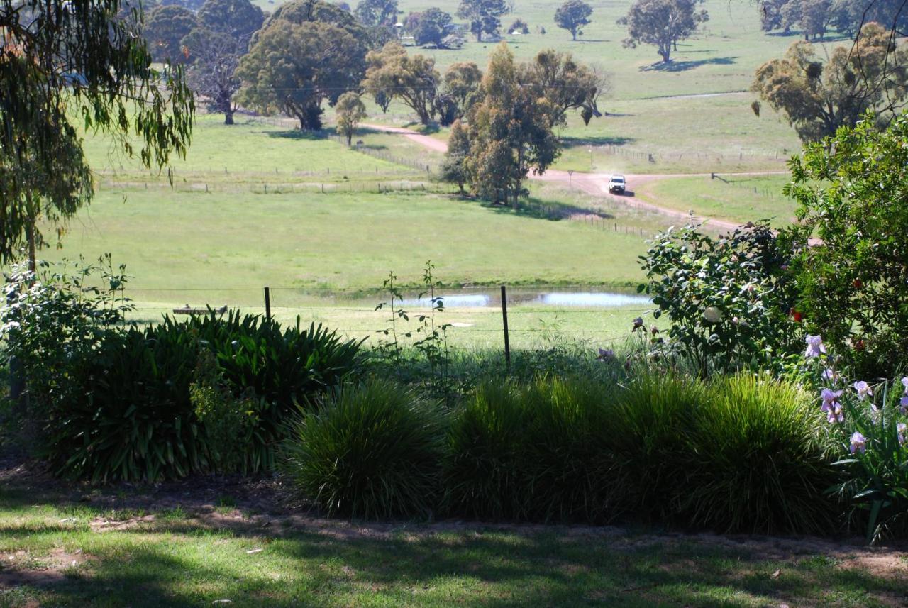 Bluegum Ridge Cottages Merrijig Habitación foto